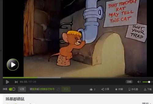 番鼠爆料视频在线观看,揭秘幕后真相，带你领略网络世界的真实面貌